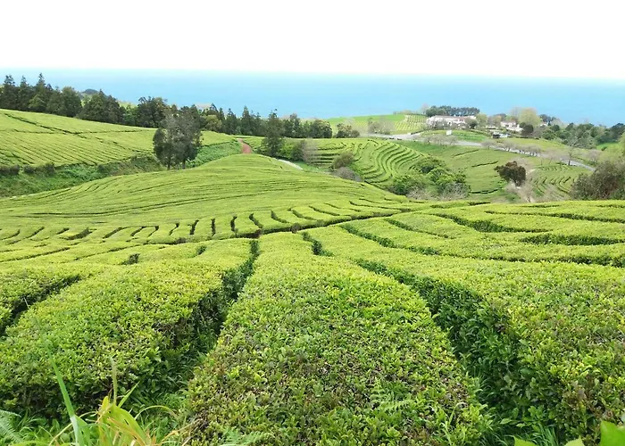 Mar ゲストハウス 3*