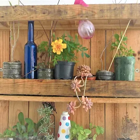 Mar Πανσιόν 3*